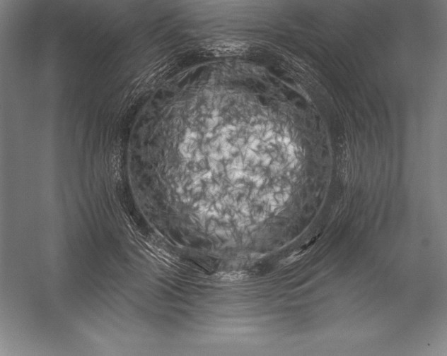 X0000056340604200509091532