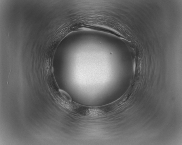 X0000056340605200509091532