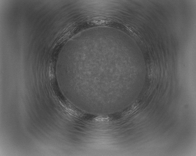 X0000056340606200509091532