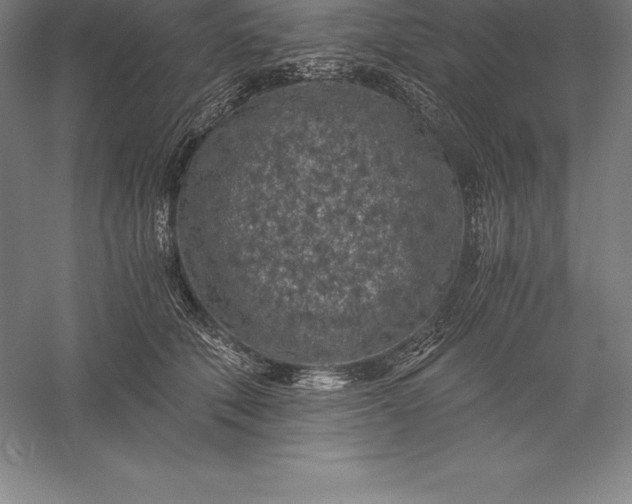 X0000056340610200509091532