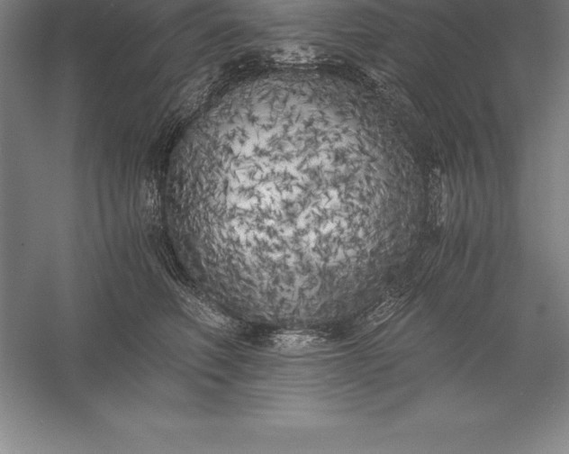 X0000056340614200509091532