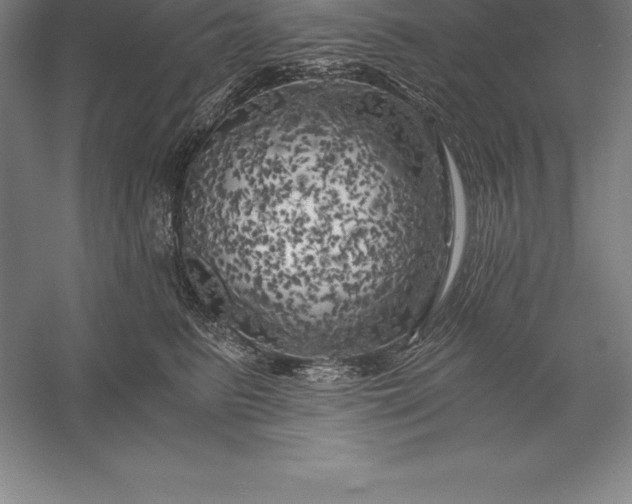 X0000056340615200509091532