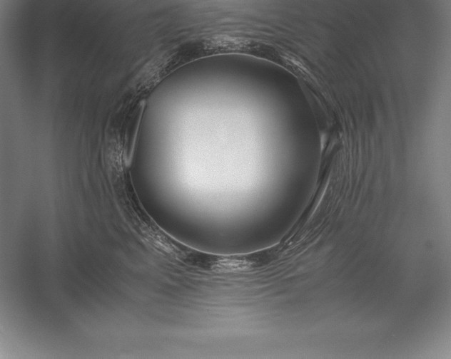X0000056340617200509091532
