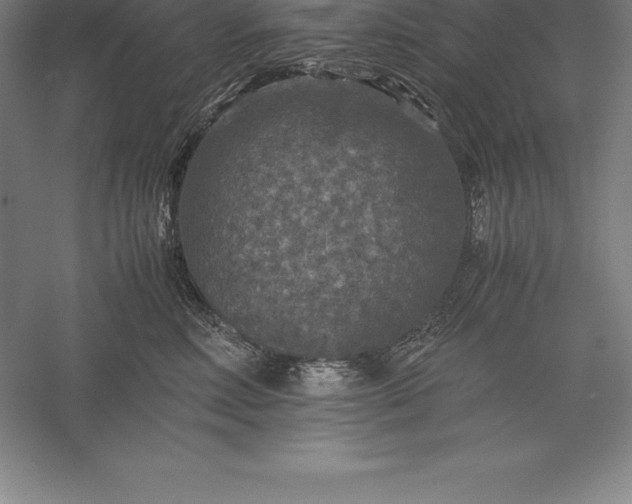X0000056340618200509091532