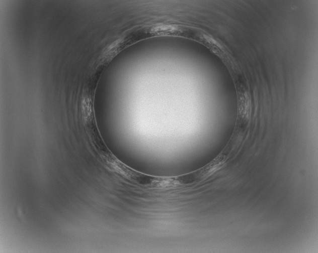 X0000056340621200509091532