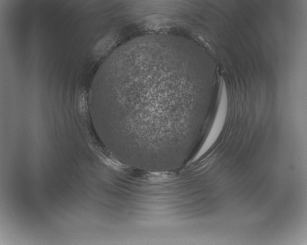 X0000056340623200509091532