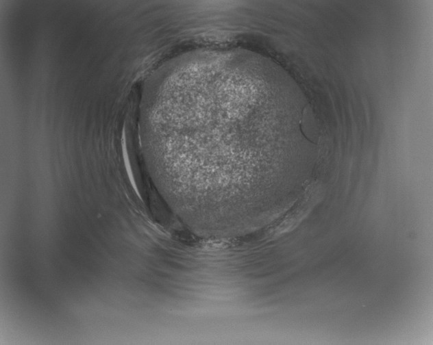 X0000056340624200509091532