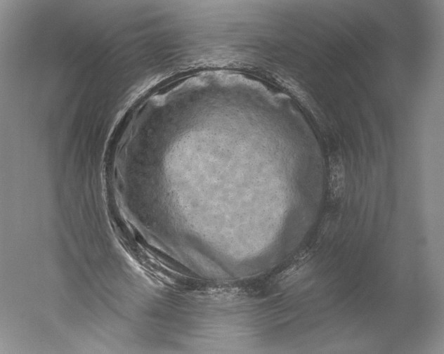 X0000056340626200509091531