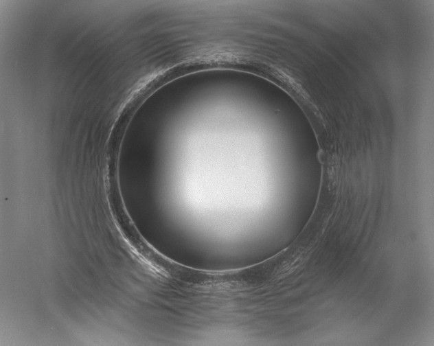 X0000056340629200509091531