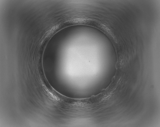 X0000056340633200509091531