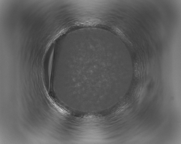 X0000056340634200509091531