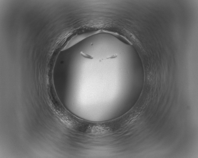 X0000056340635200509091531
