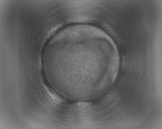 X0000056340636200509091531