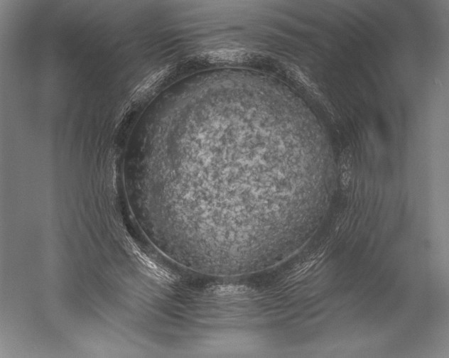 X0000056340637200509091531