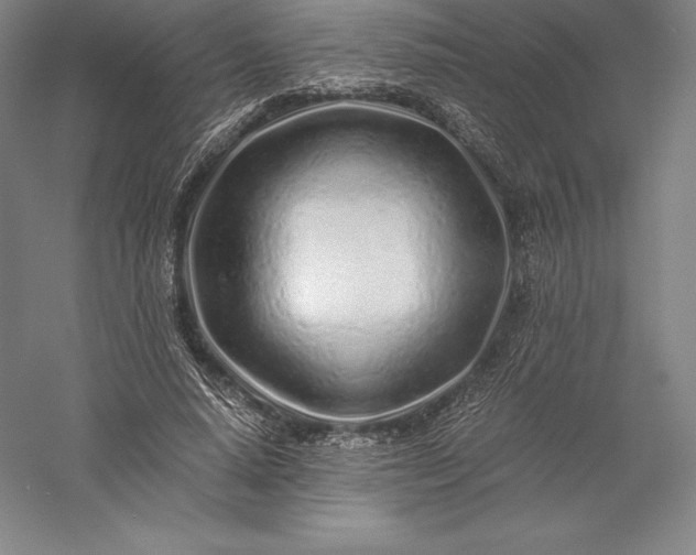 X0000056340640200509091531