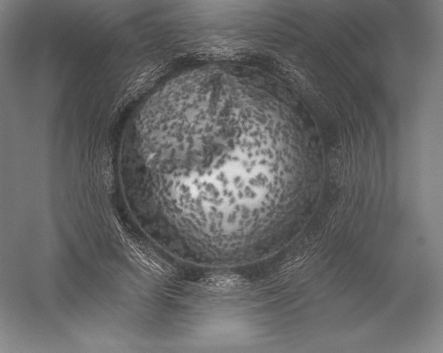 X0000056340642200509091531