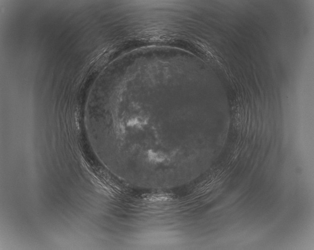 X0000056340643200509091531