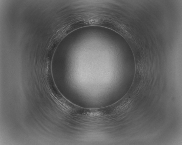 X0000056340645200509091531