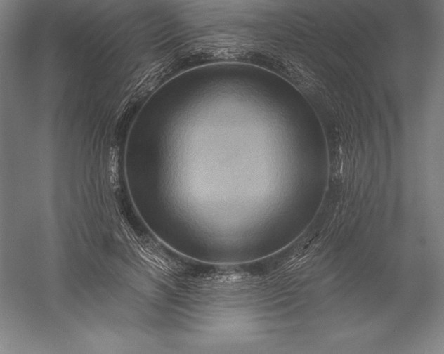 X0000056340646200509091531