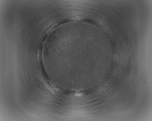 X0000056340647200509091531