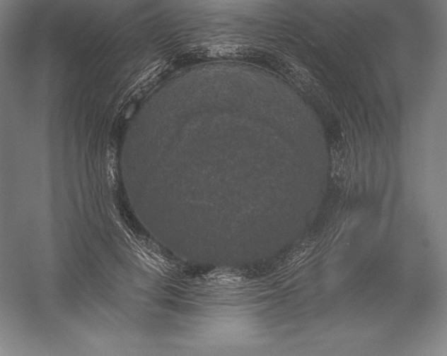 X0000056340648200509091531