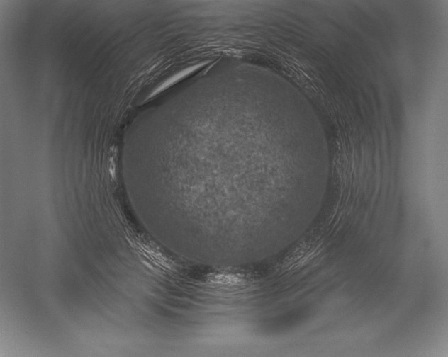 X0000056340649200509091531