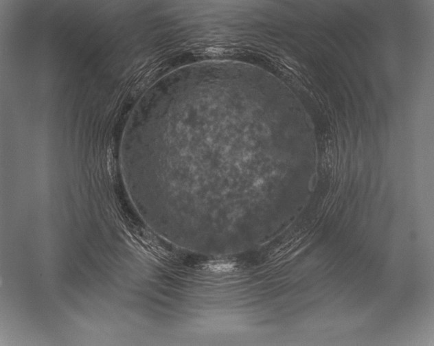 X0000056340651200509091531