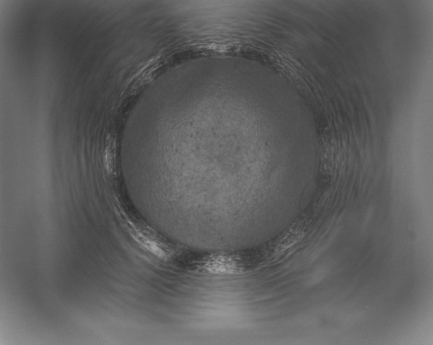 X0000056340656200509091531
