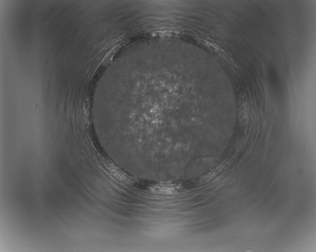X0000056340661200509091531