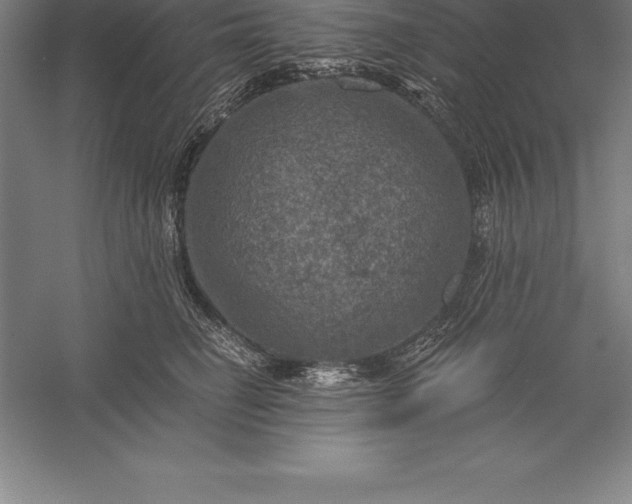 X0000056340662200509091531