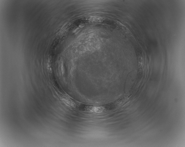 X0000056340663200509091531