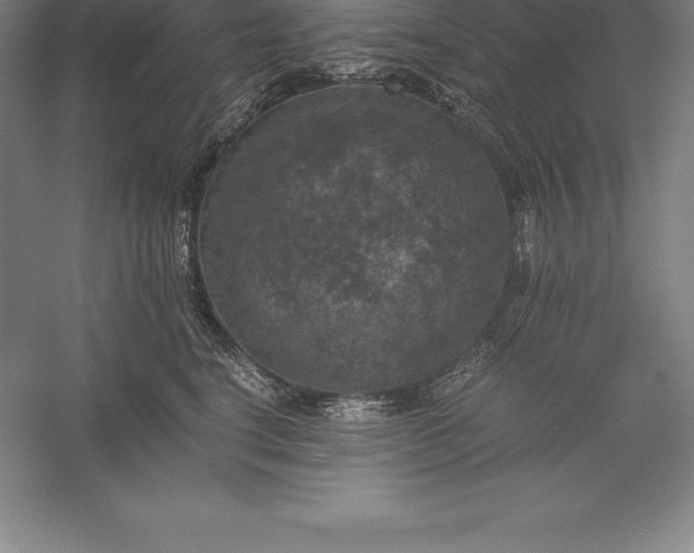 X0000056340664200509091531