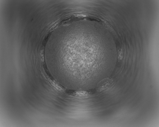 X0000056340666200509091532