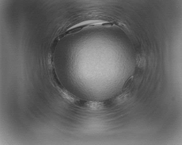 X0000056340670200509091532