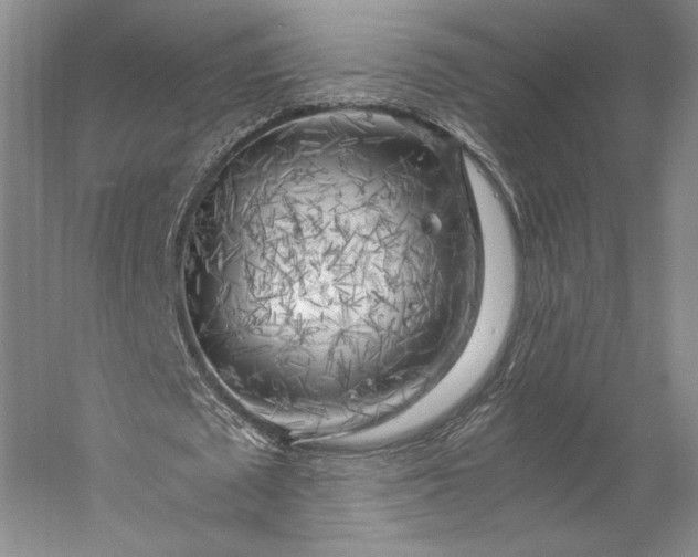 X0000056340673200509091531