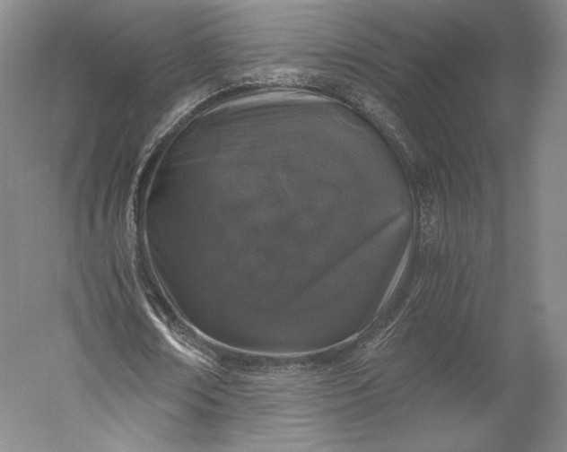 X0000056340674200509091531
