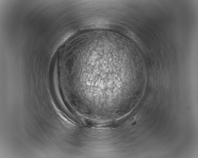 X0000056340677200509091531