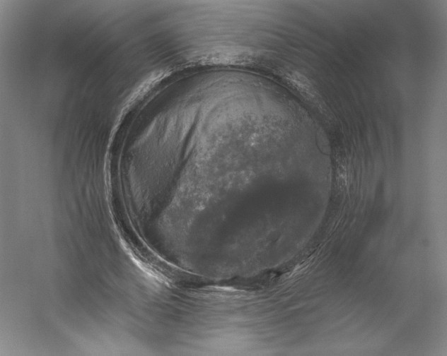 X0000056340678200509091531