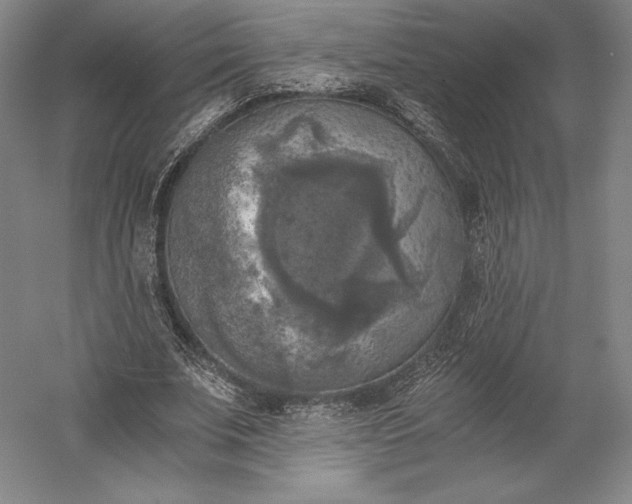 X0000056340679200509091531