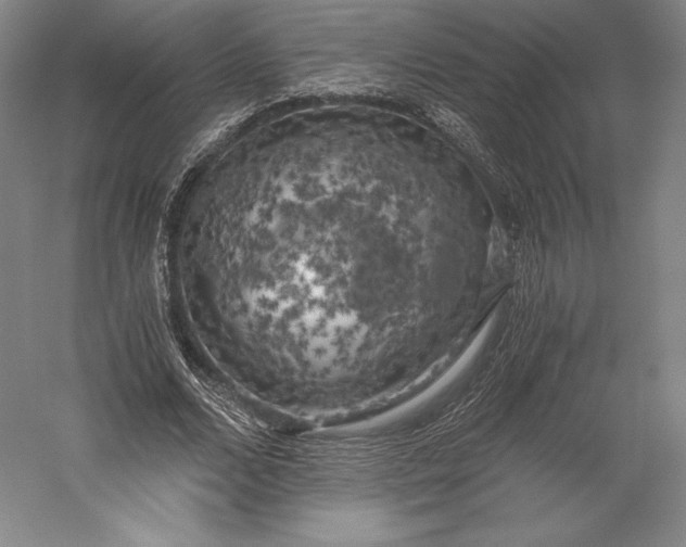 X0000056340680200509091531