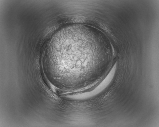 X0000056340681200509091531