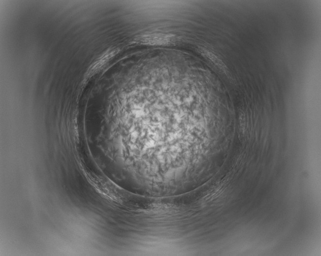 X0000056340682200509091531