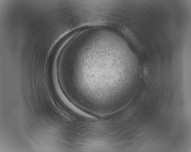 X0000056340684200509091531