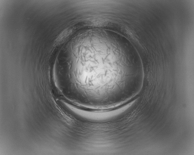 X0000056340685200509091531