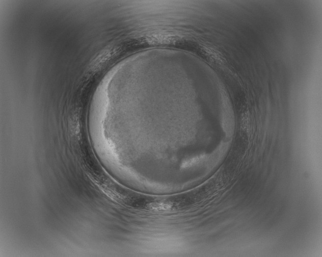 X0000056340687200509091531