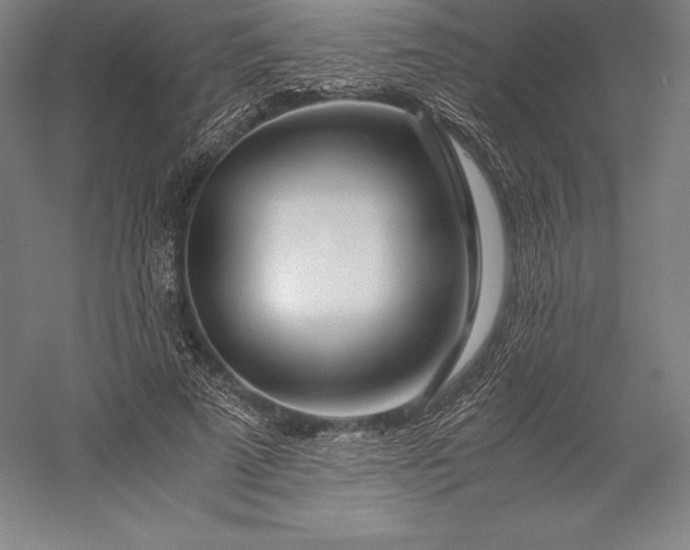 X0000056340689200509091531