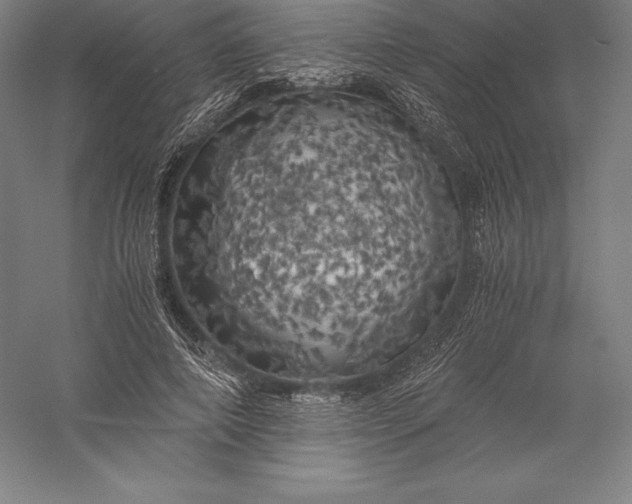 X0000056340690200509091531