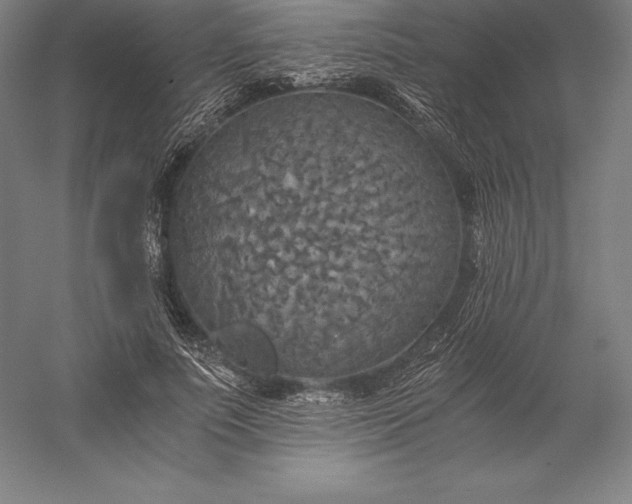 X0000056340691200509091530