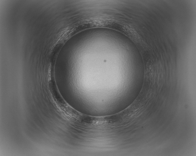 X0000056340694200509091530