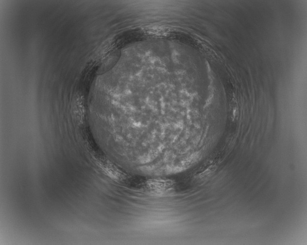 X0000056340707200509091530